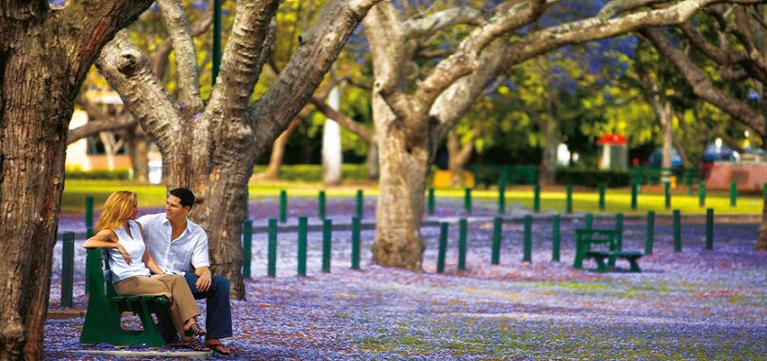 Vé máy bay đi Brisbane